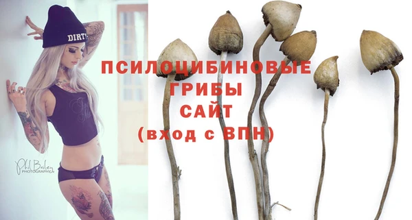 стаф Баксан