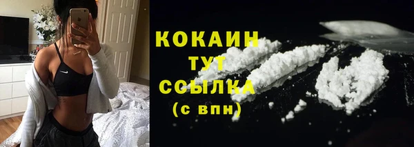 стаф Баксан